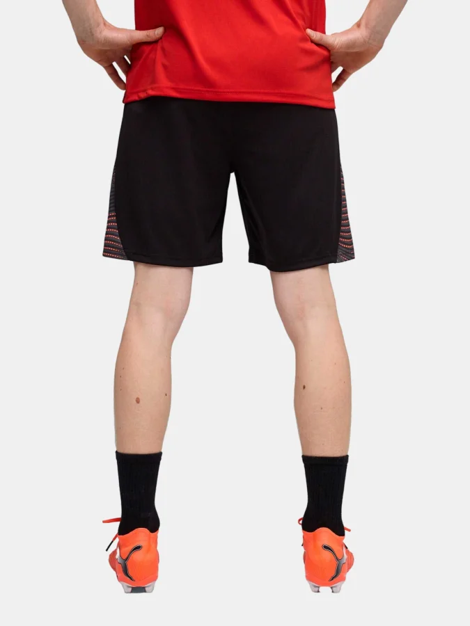 PUMA - individualFINAL Shor 2