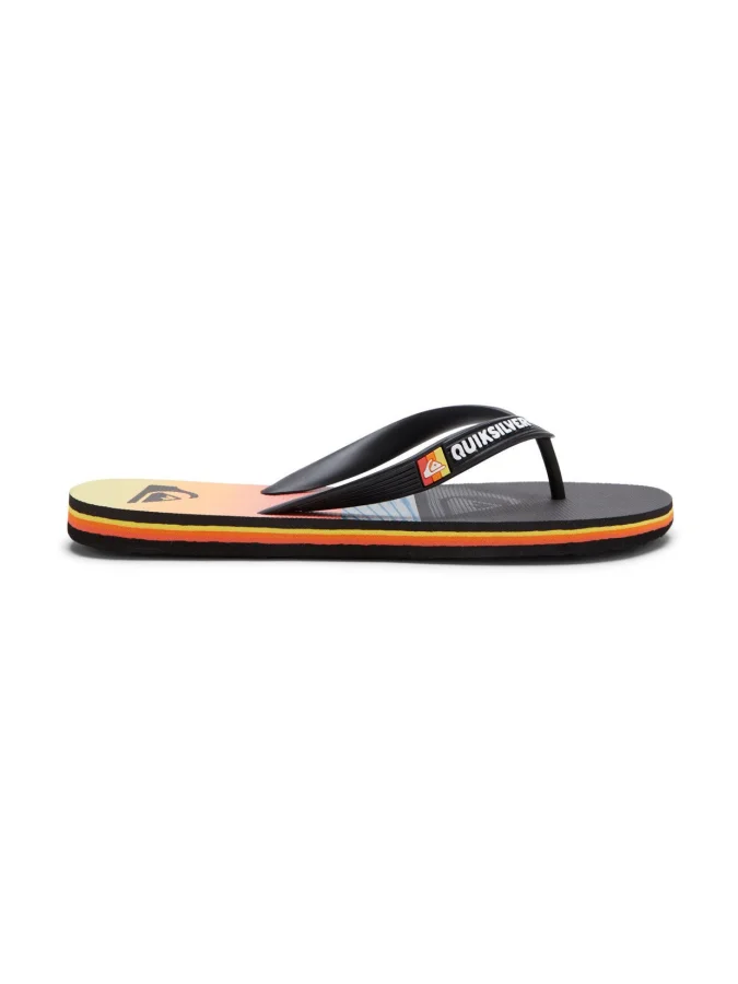 Quiksilver - MOLOKAI ART B... 2