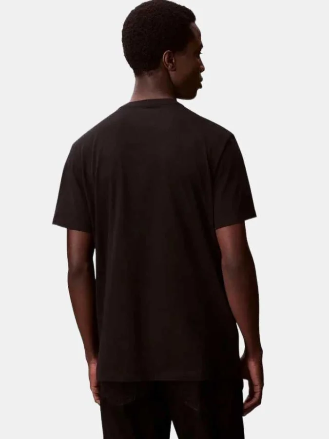 Calvin Klein - SS TONAL... 2