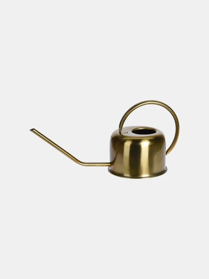 Koopman - Jar, 40 cm