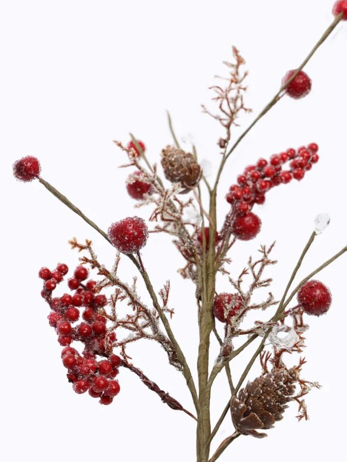 Koopman - Branch, 54cm 2