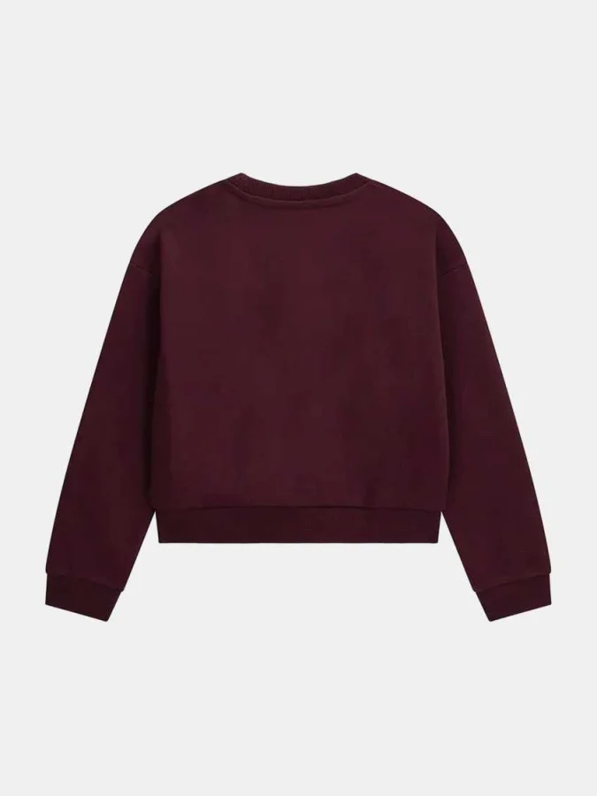 GUESS - LS ACTIVE TOP 2