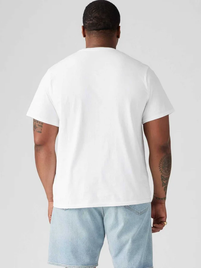 Levis® - BIG ORIGINAL HM TEE 2