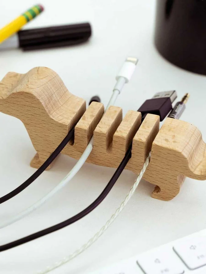 Kikkerland - Cable... 2