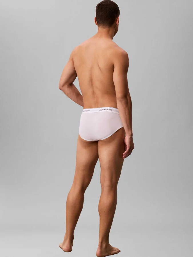 CALVIN KLEIN - HIP BRIEF 3PK 2