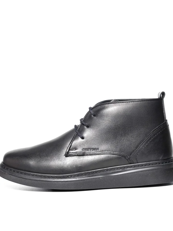 GREYDER 2
