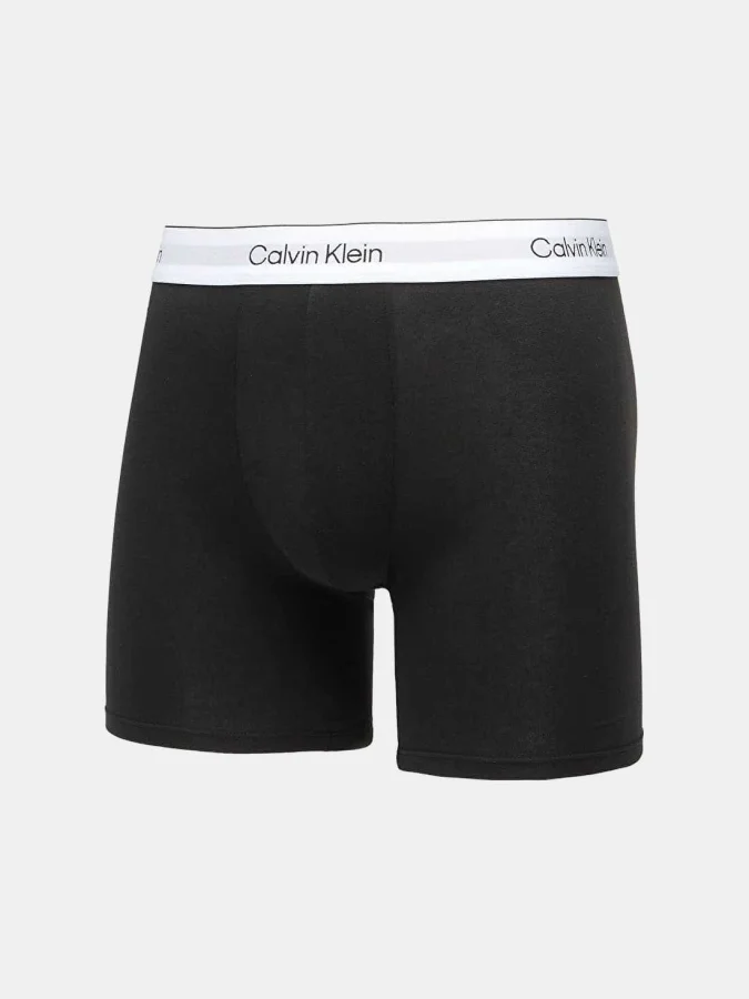 CALVIN KLEIN UNDERWEAR -... 2