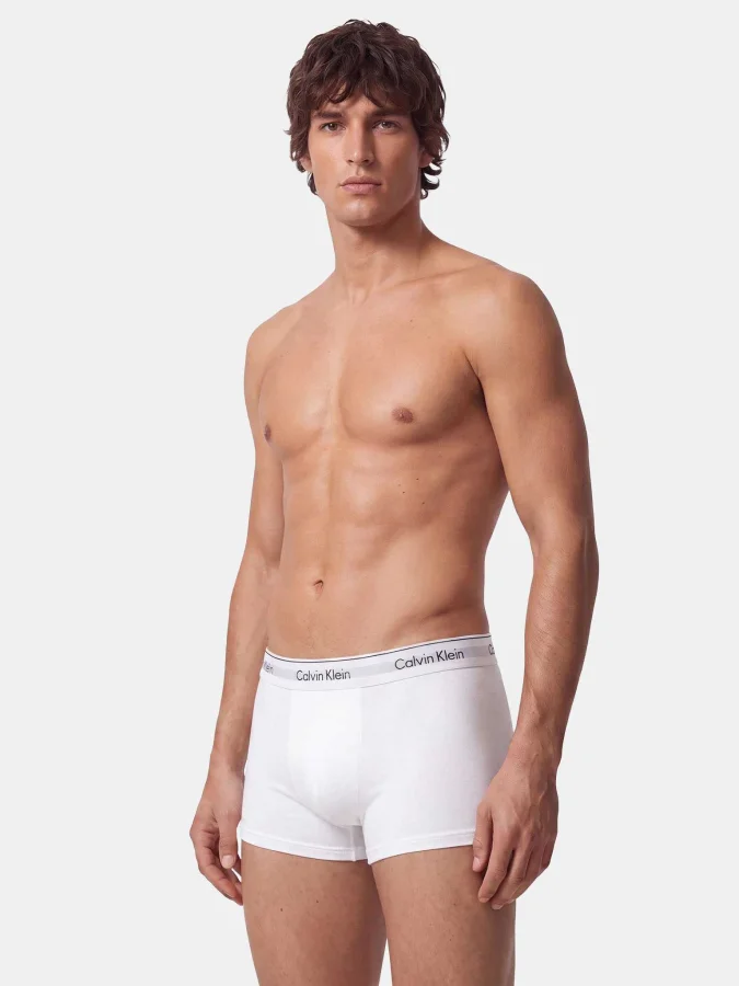 CALVIN KLEIN UNDERWEAR -... 2
