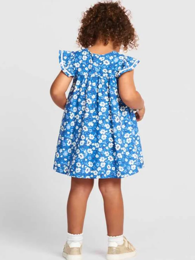 Orchestra - ROBE CT MC 2