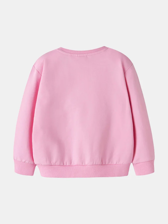 NAME IT - NMFLAUFEY LS NREG... 2