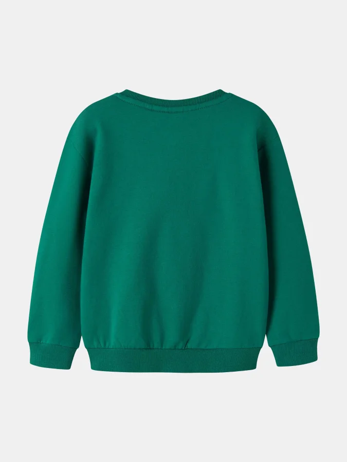 NAME IT - NMFLAUFEY LS NREG... 2