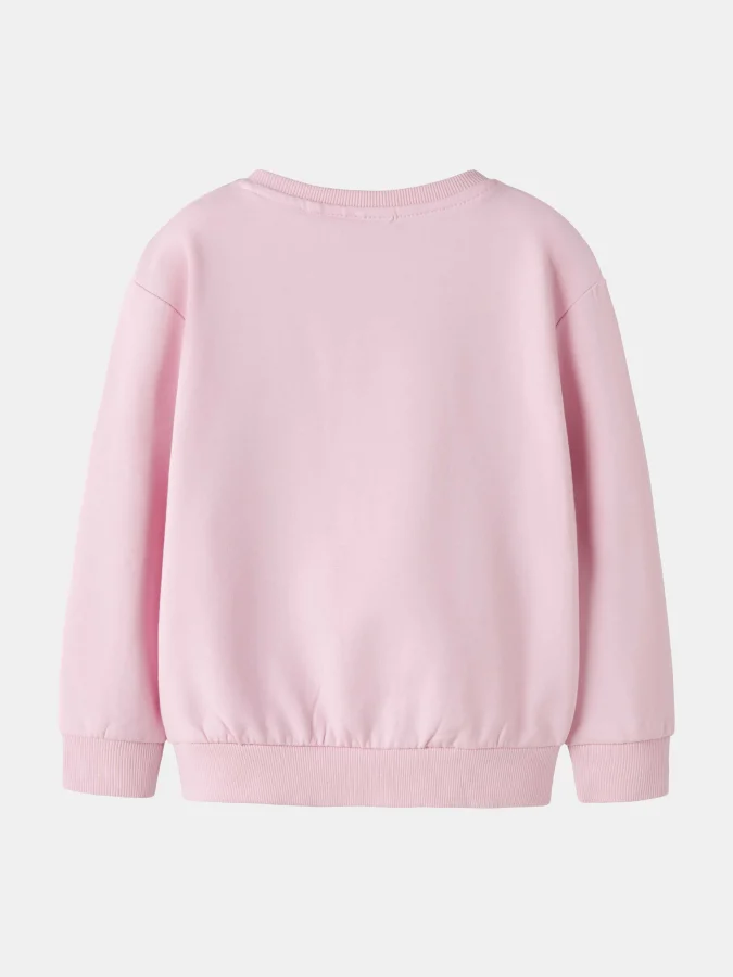NAME IT - NMFLUKA LS NREG... 2