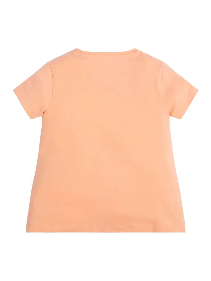 GUESS 2