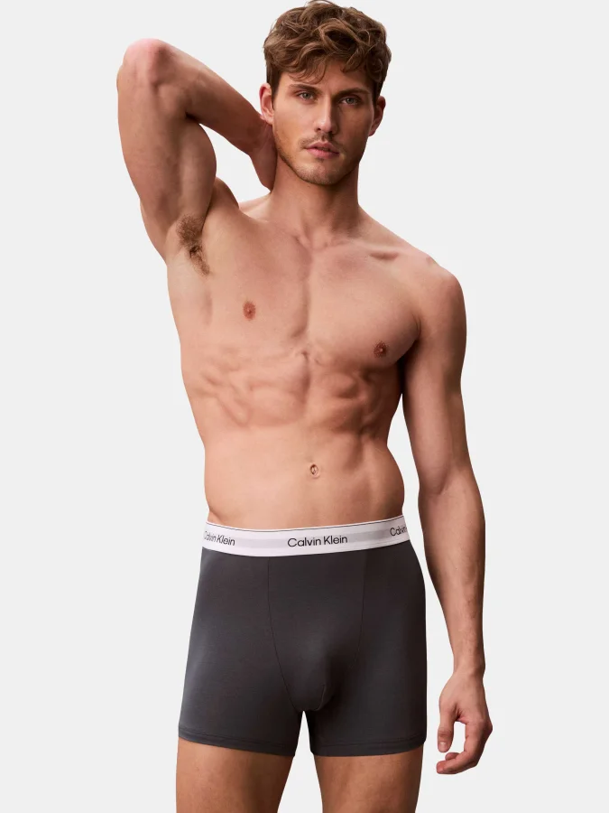 CALVIN KLEIN UNDERWEAR -... 2