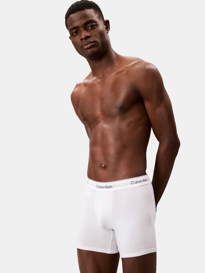 CALVIN KLEIN UNDERWEAR -... 2