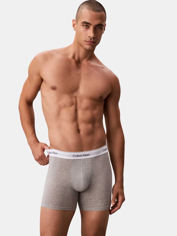 CALVIN KLEIN UNDERWEAR -... 2