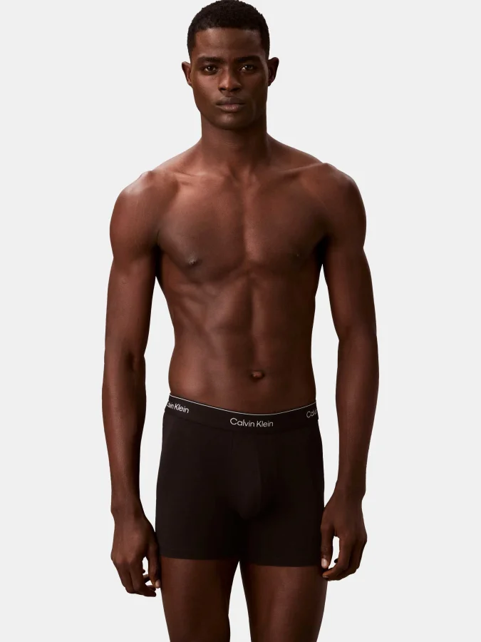 CALVIN KLEIN UNDERWEAR -... 2