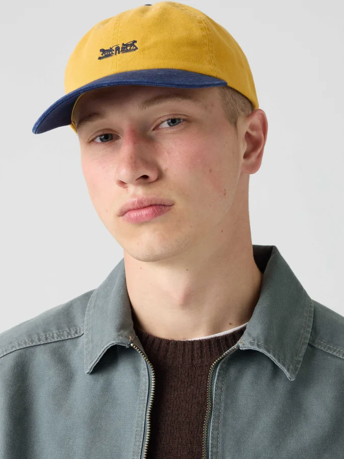Levis® - ROCKRIDGE DAD CAP