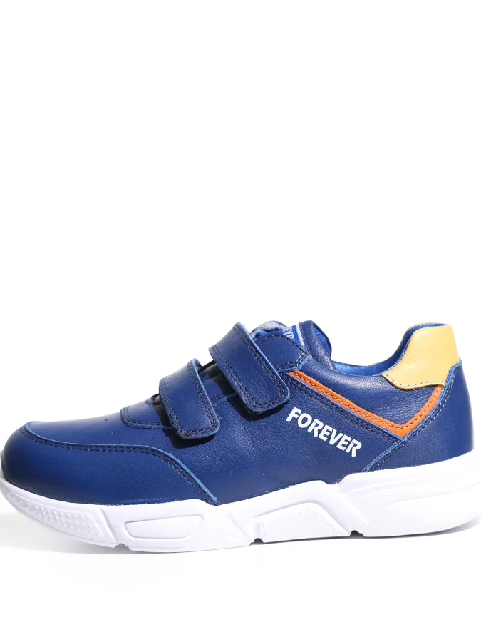 GREYDER 2