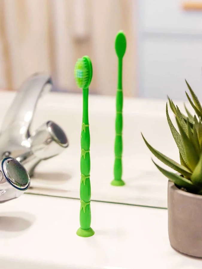 Pylones - Toothbrush 2