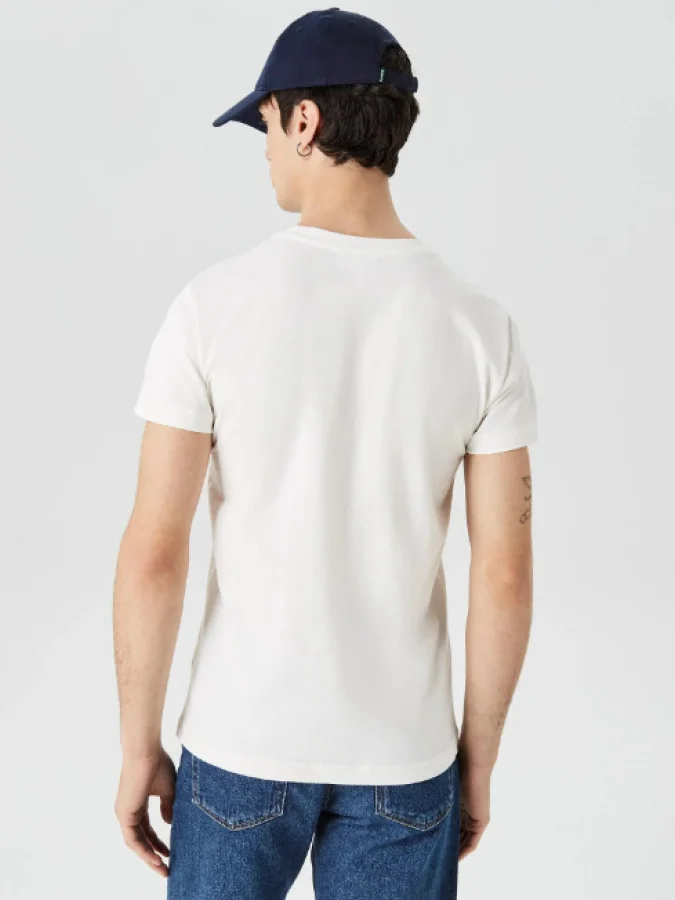 Lacoste 2