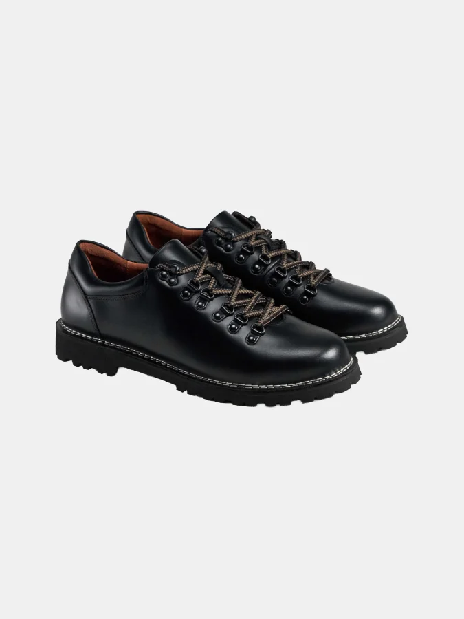 Ahler Shoes 2