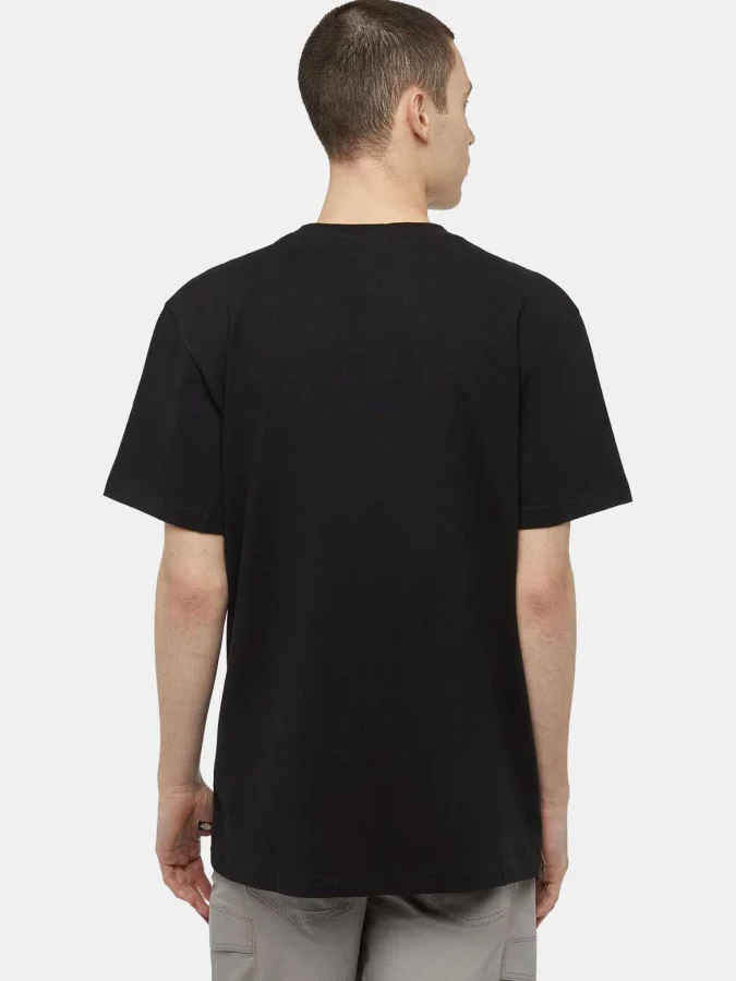 Dickies - HVYWGT SS TEE... 2