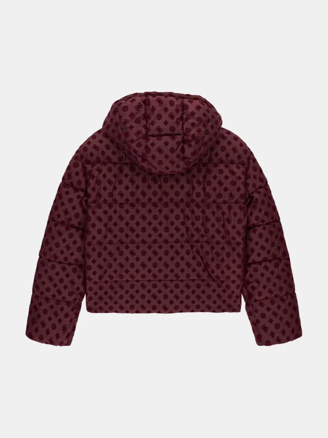 GUESS - NEW DAISY CROP LOGO... 2