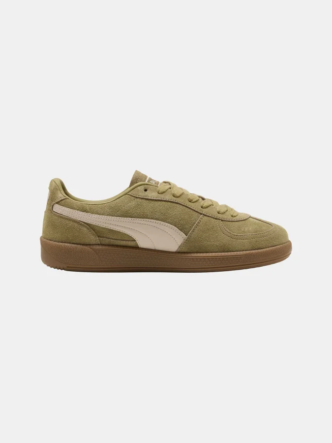 Puma - Palermo