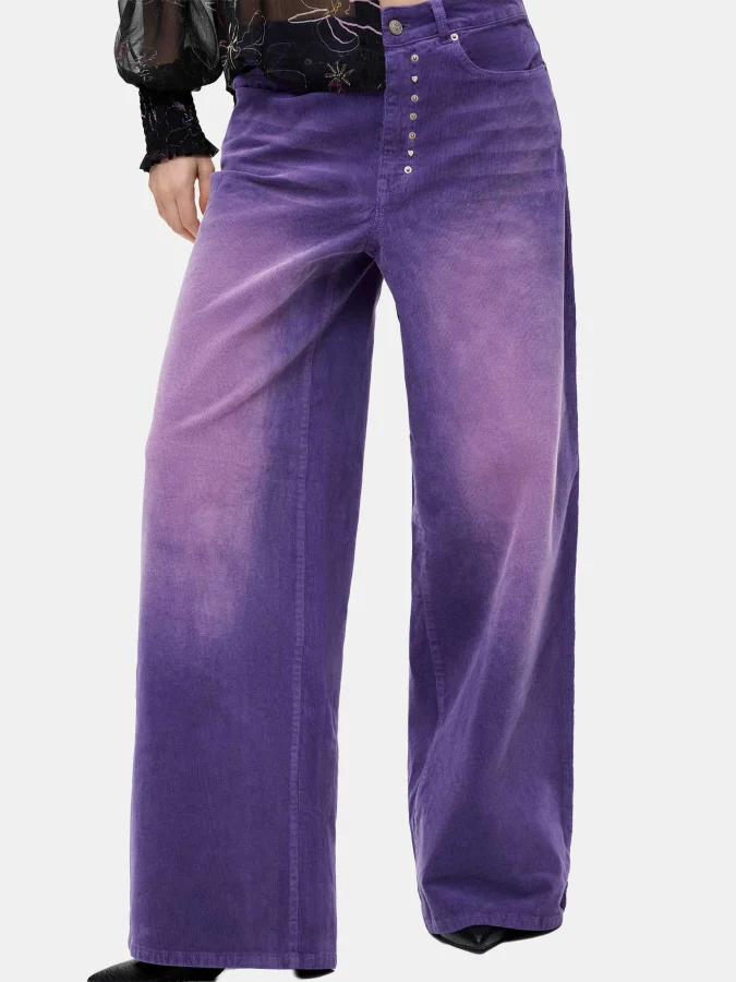 DESIGUAL - PANT_REF_PORLY 2