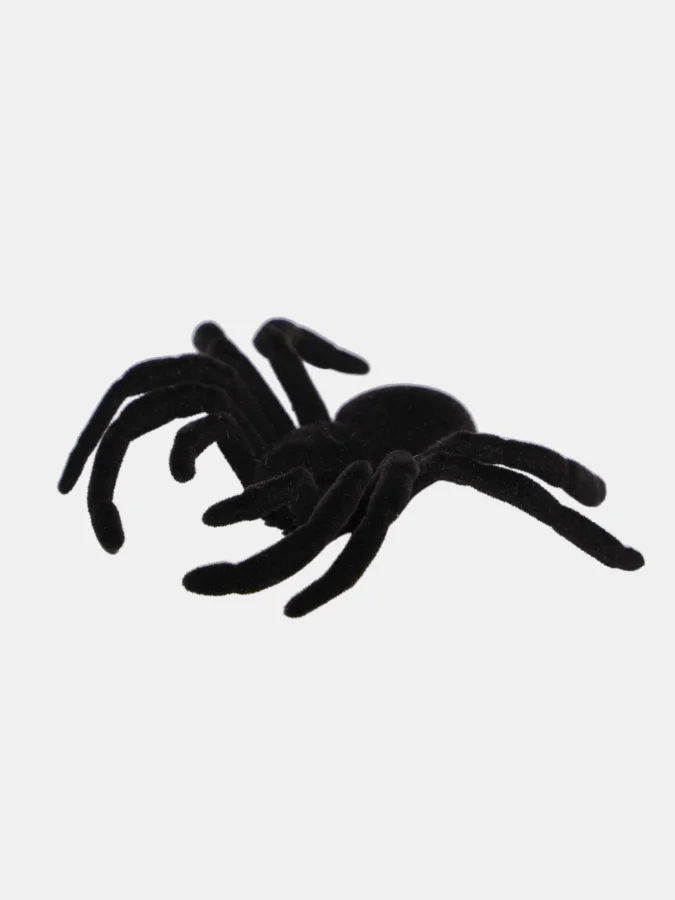 Koopman - Creative Toy, 7.5... 2