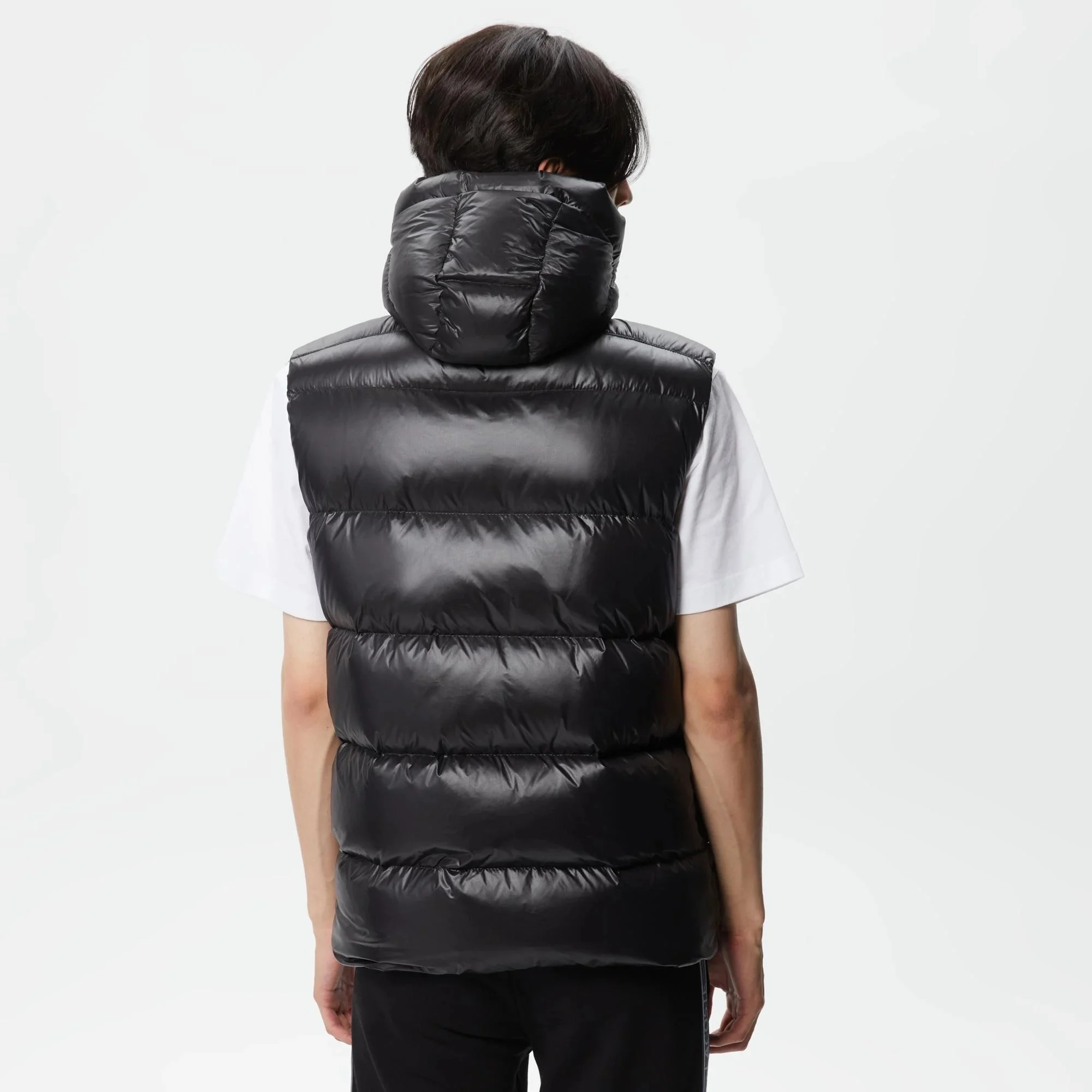 Lacoste 2