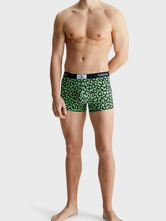 CALVIN KLEIN UNDERWEAR 2