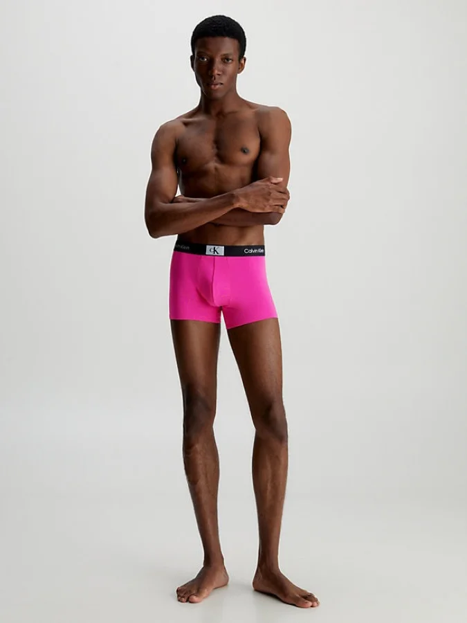 CALVIN KLEIN UNDERWEAR 2