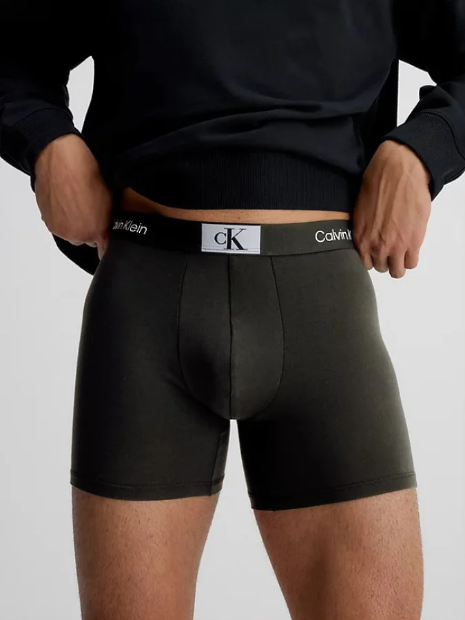 CALVIN KLEIN UNDERWEAR 2