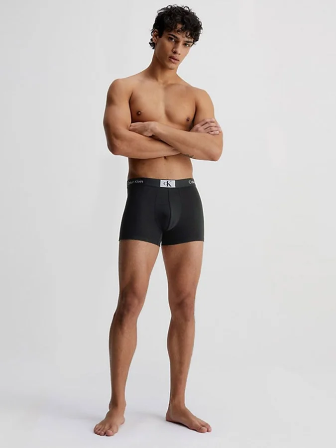 CALVIN KLEIN UNDERWEAR 2