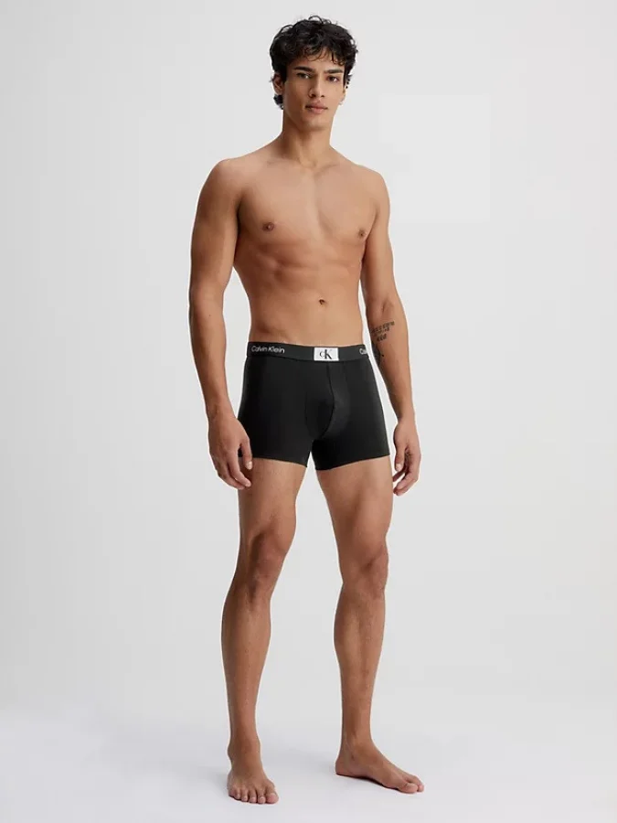 CALVIN KLEIN UNDERWEAR 2