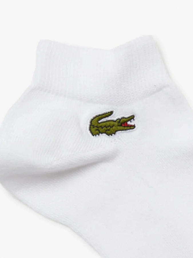 Lacoste 2