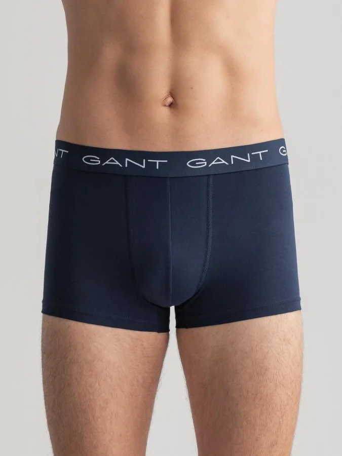 Gant 2