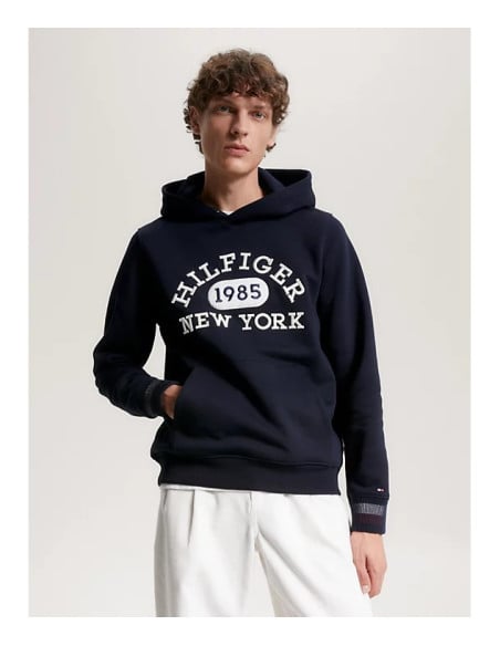 Tommy hilfiger collegiate on sale hoodie