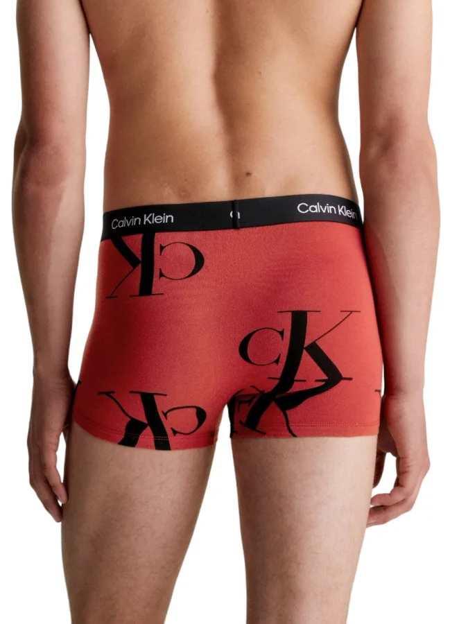 CALVIN KLEIN UNDERWEAR 2