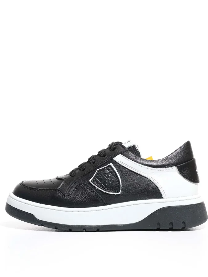 GREYDER 2