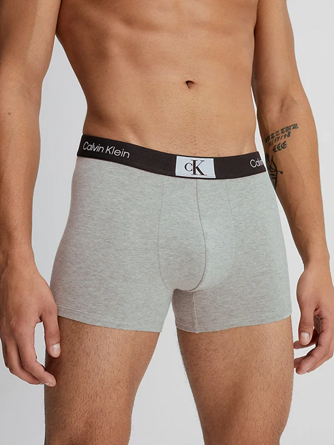 CALVIN KLEIN UNDERWEAR 2