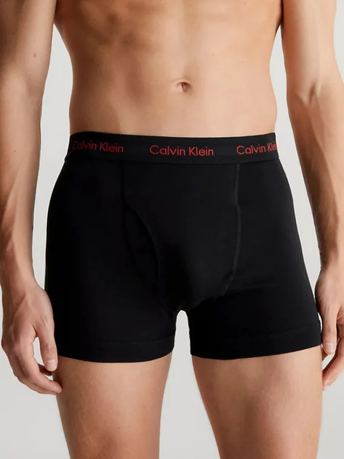 CALVIN KLEIN UNDERWEAR 2