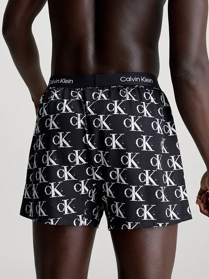 CALVIN KLEIN UNDERWEAR 2