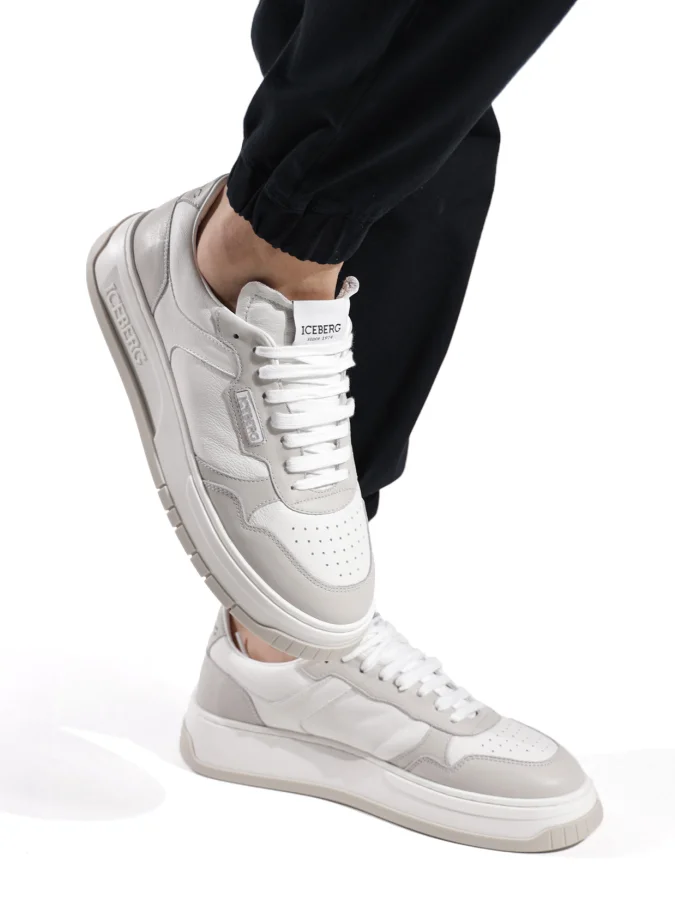 ICEBERG 2