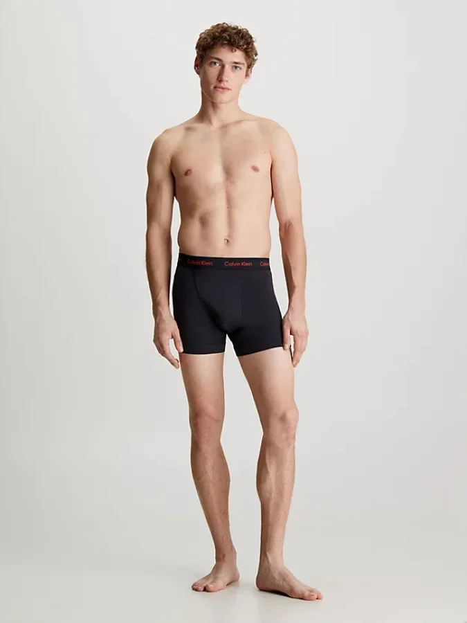 CALVIN KLEIN UNDERWEAR 2