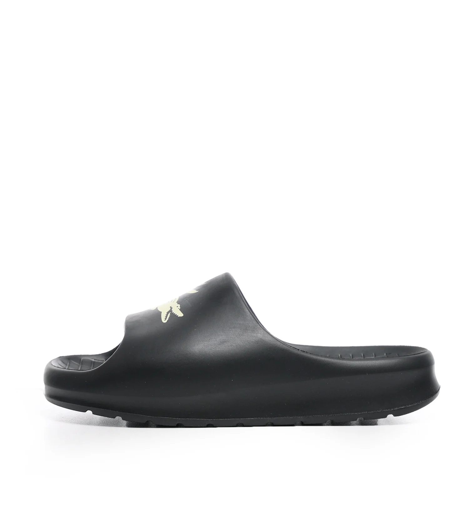 Lacoste 2