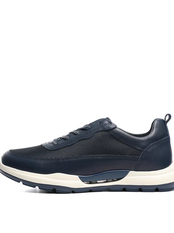 GREYDER 2