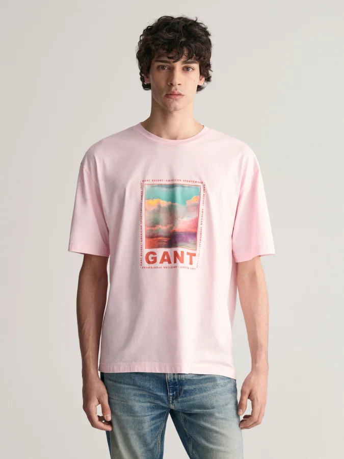 Gant - WASHED GRAPHIC SS...